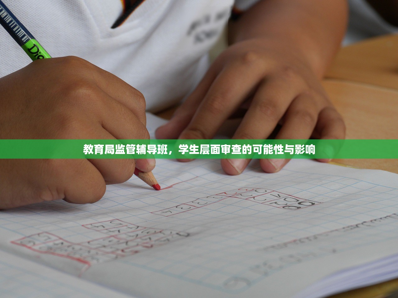 教育局监管辅导班，学生层面审查的可能性与影响