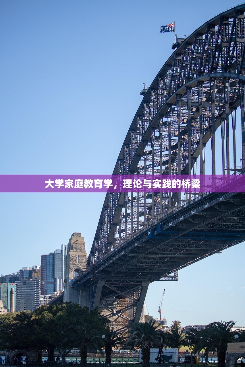 大学家庭教育学，理论与实践的桥梁
