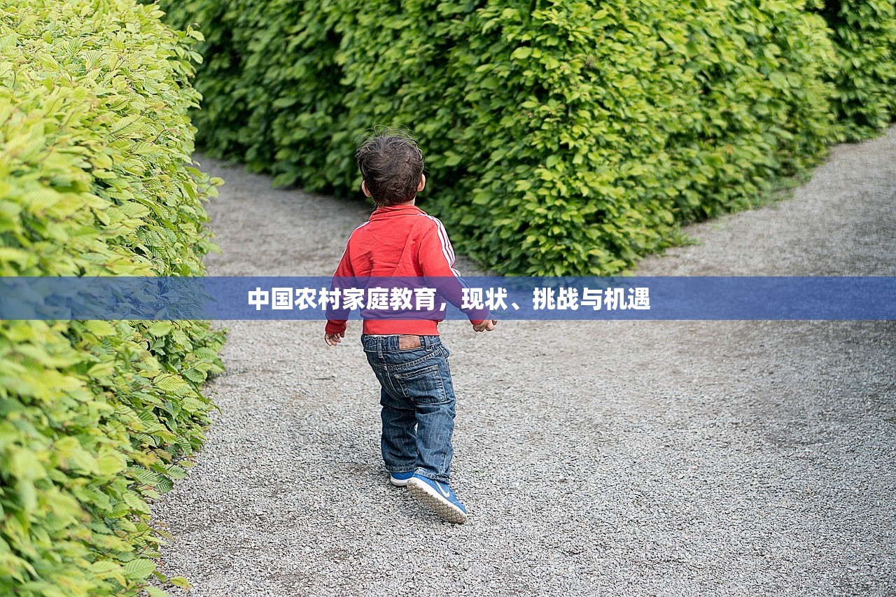 中国农村家庭教育，现状、挑战与机遇