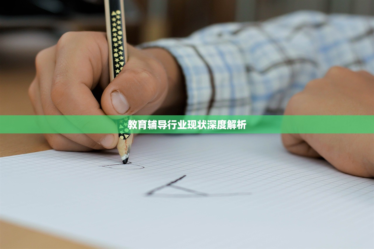教育辅导行业现状深度解析