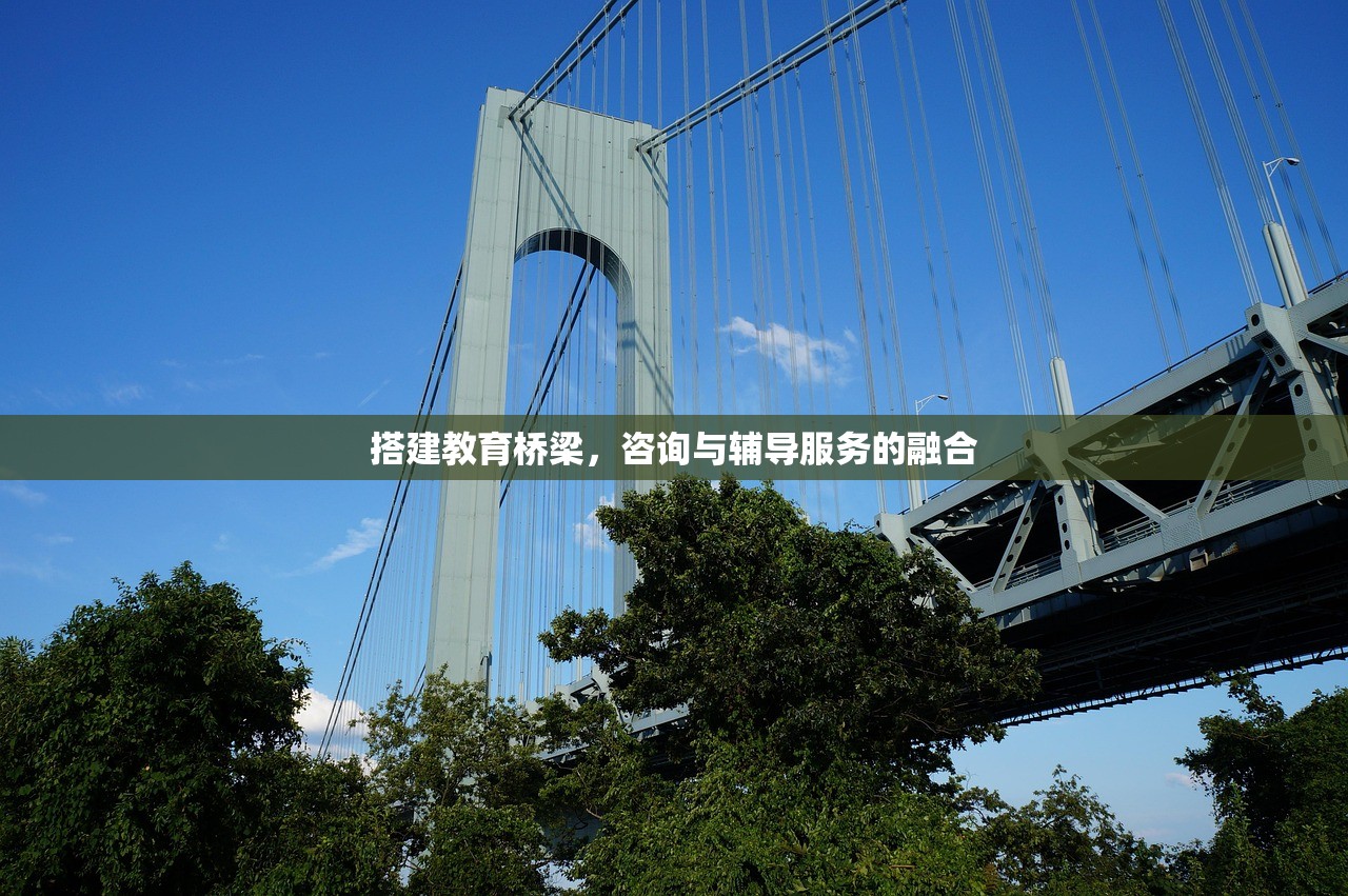 搭建教育桥梁，咨询与辅导服务的融合