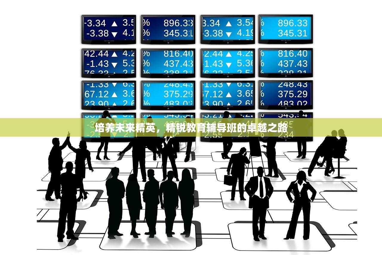 培养未来精英，精锐教育辅导班的卓越之路