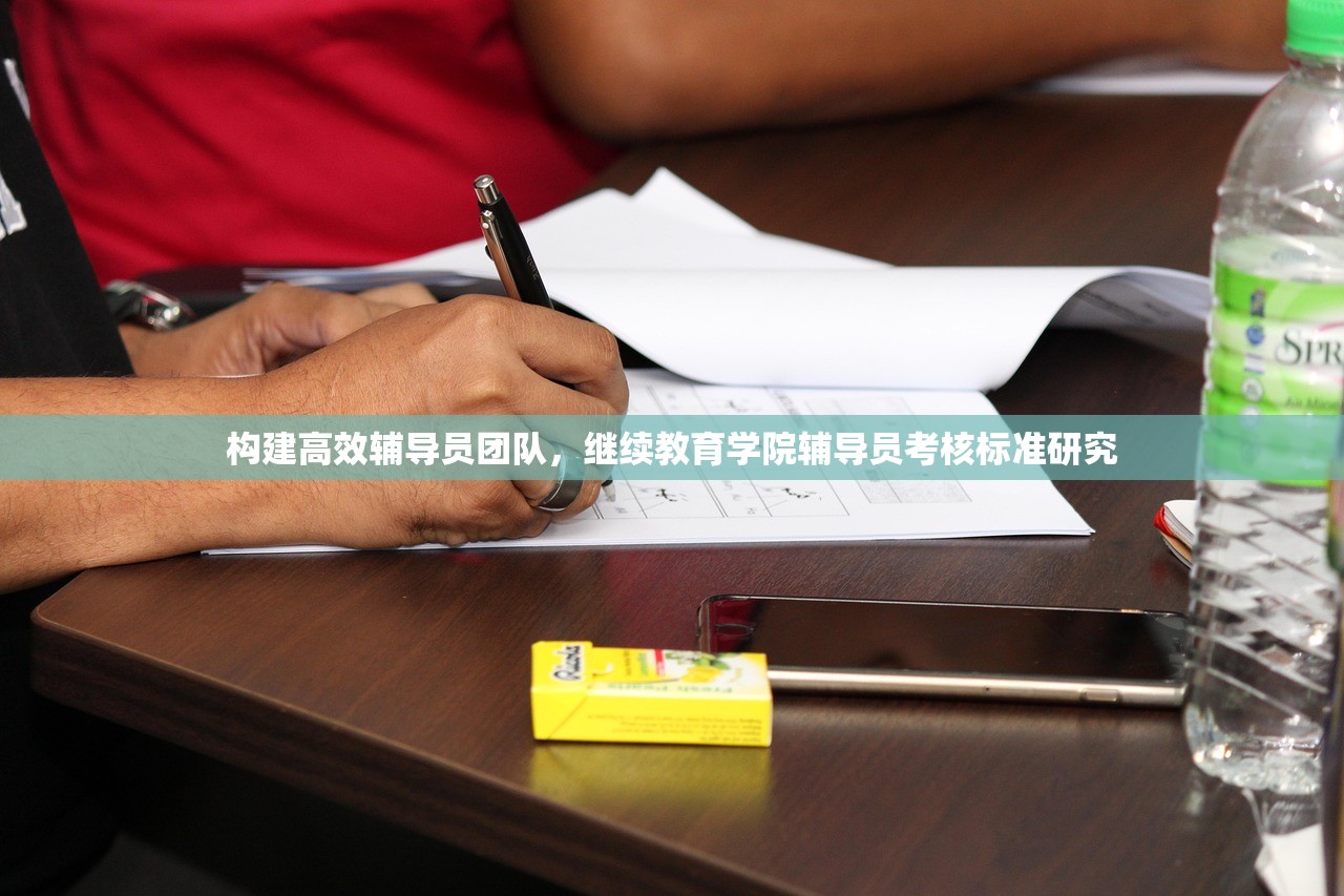 构建高效辅导员团队，继续教育学院辅导员考核标准研究