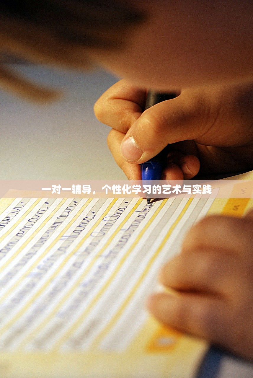 一对一辅导，个性化学习的艺术与实践