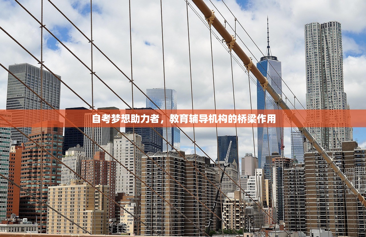 自考梦想助力者，教育辅导机构的桥梁作用