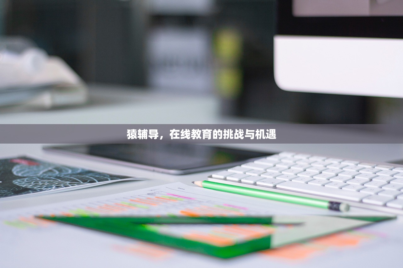 猿辅导，在线教育的挑战与机遇