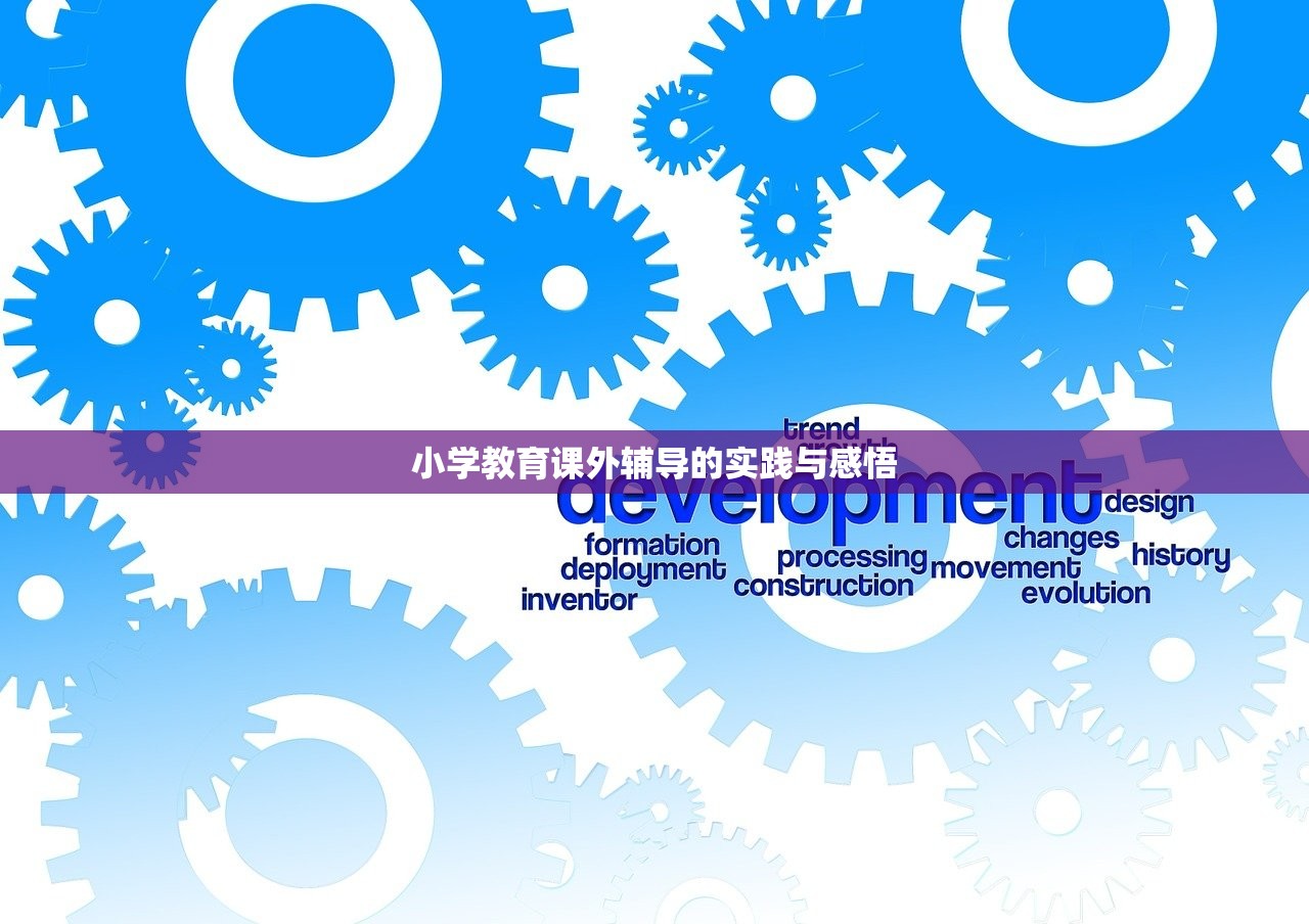 小学教育课外辅导的实践与感悟