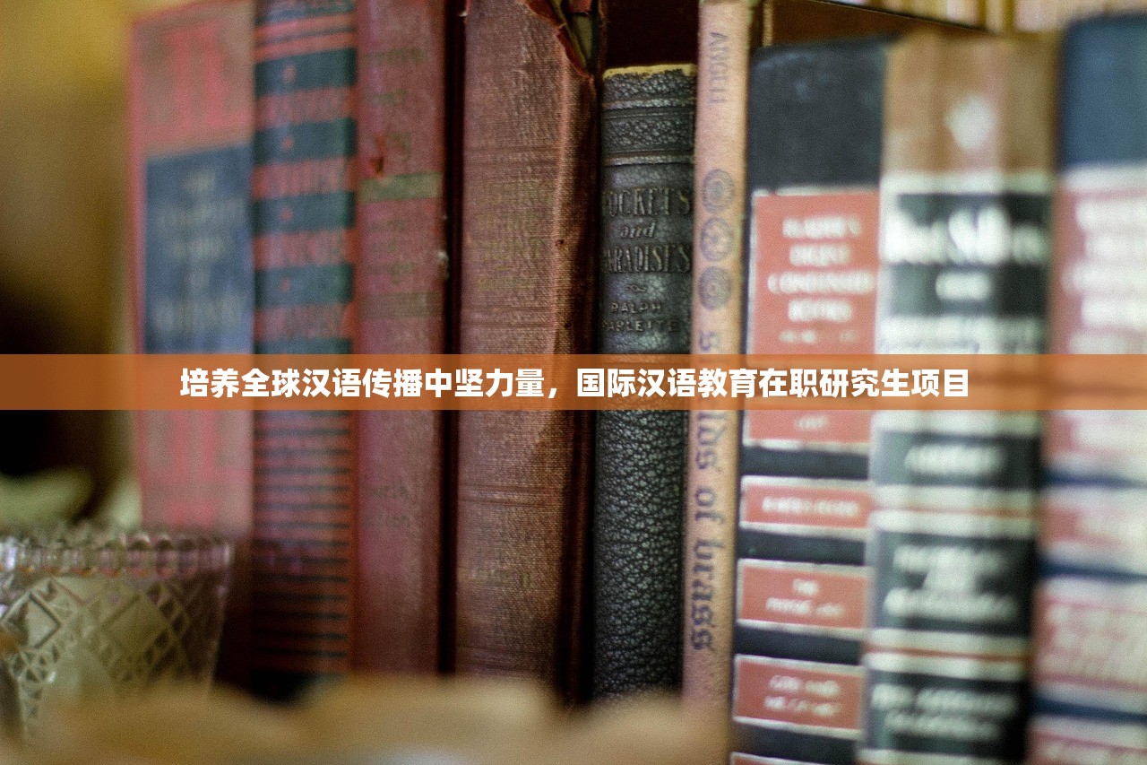 培养全球汉语传播中坚力量，国际汉语教育在职研究生项目