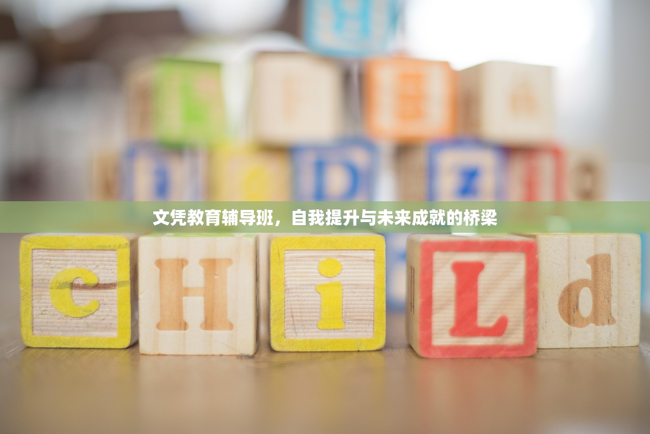 文凭教育辅导班，自我提升与未来成就的桥梁
