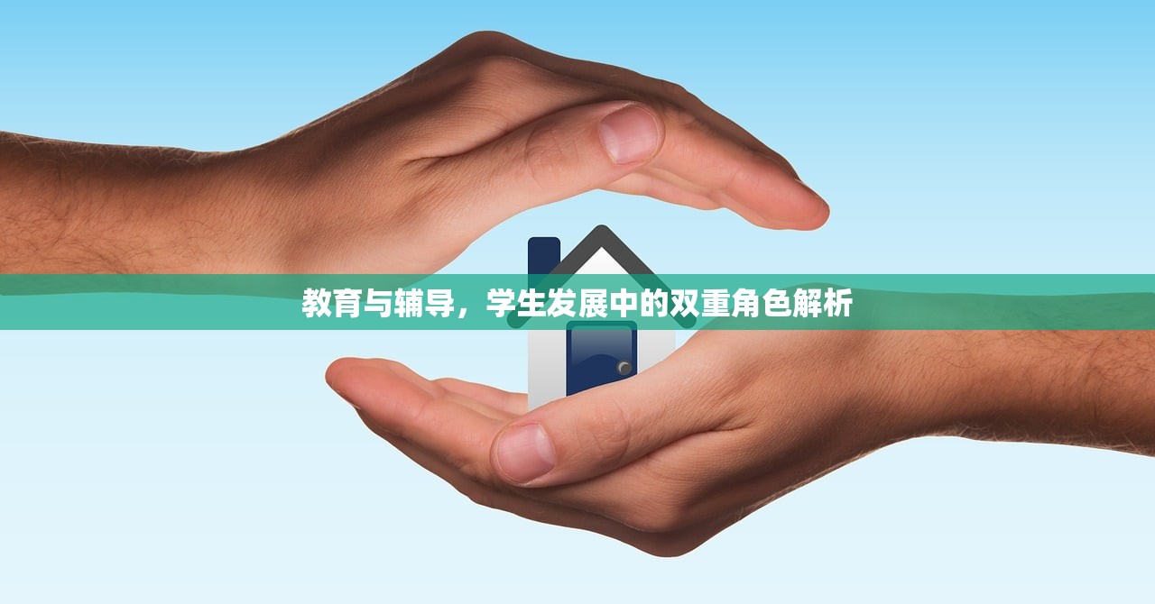 教育与辅导，学生发展中的双重角色解析