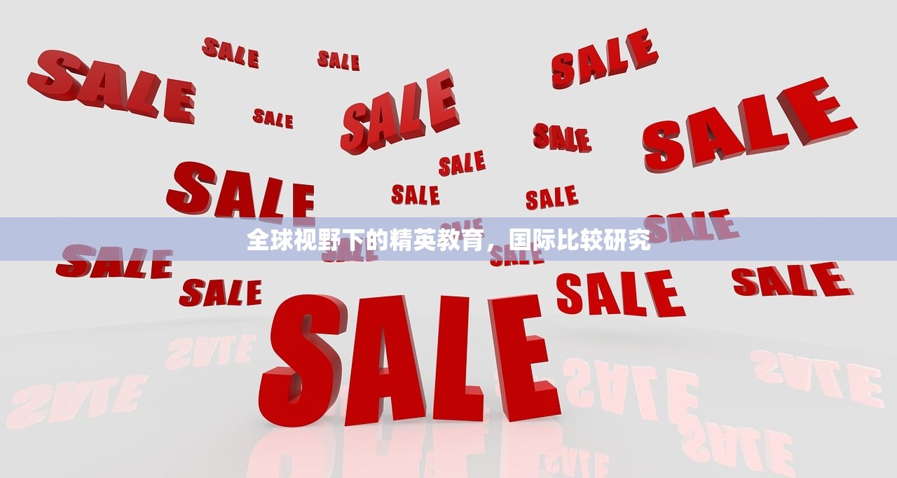 全球视野下的精英教育，国际比较研究