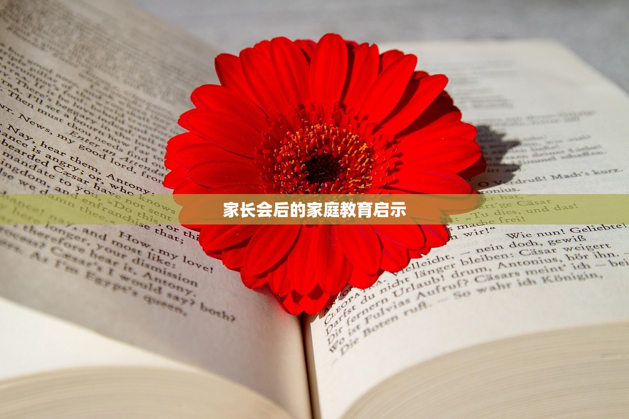 家长会后的家庭教育启示-第1张图片-畅过网