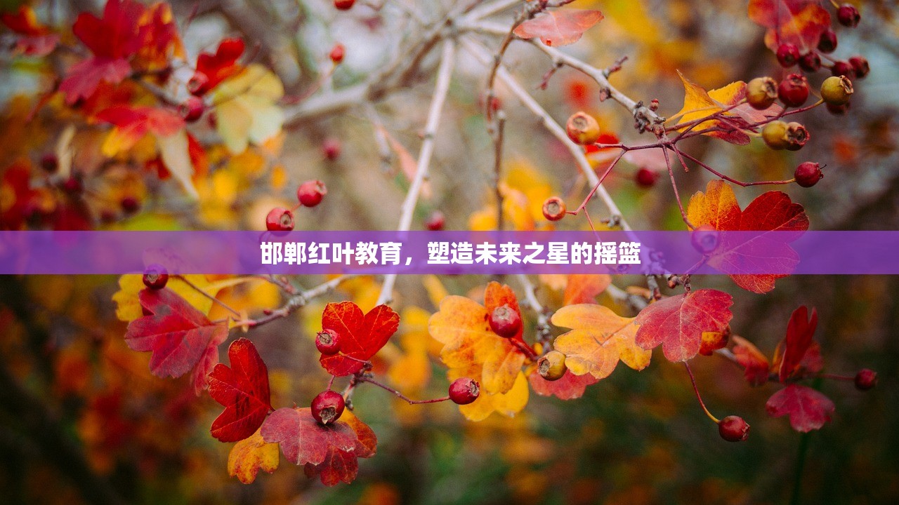 邯郸红叶教育，塑造未来之星的摇篮-第1张图片-畅过网