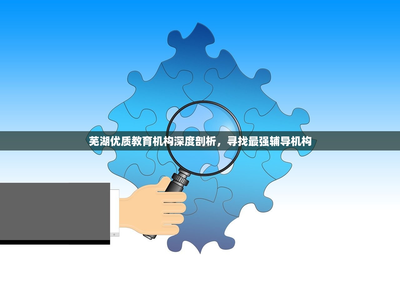 芜湖优质教育机构深度剖析，寻找最强辅导机构-第1张图片-畅过网