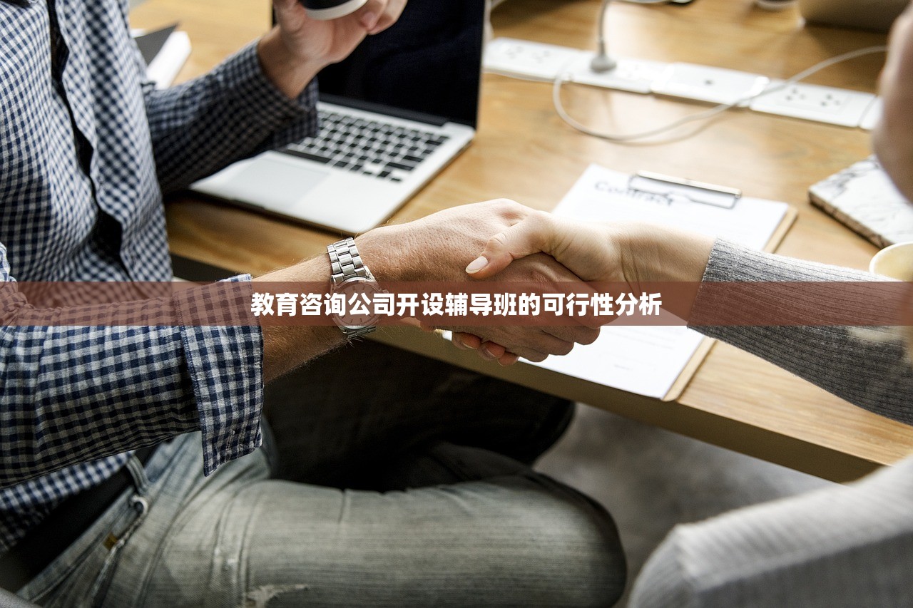 教育咨询公司开设辅导班的可行性分析-第1张图片-畅过网