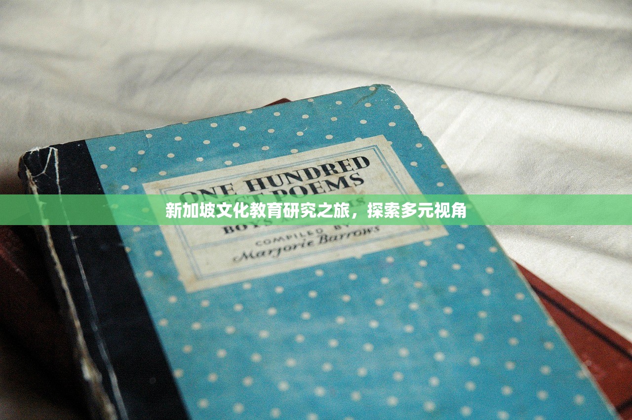 新加坡文化教育研究之旅，探索多元视角-第1张图片-畅过网
