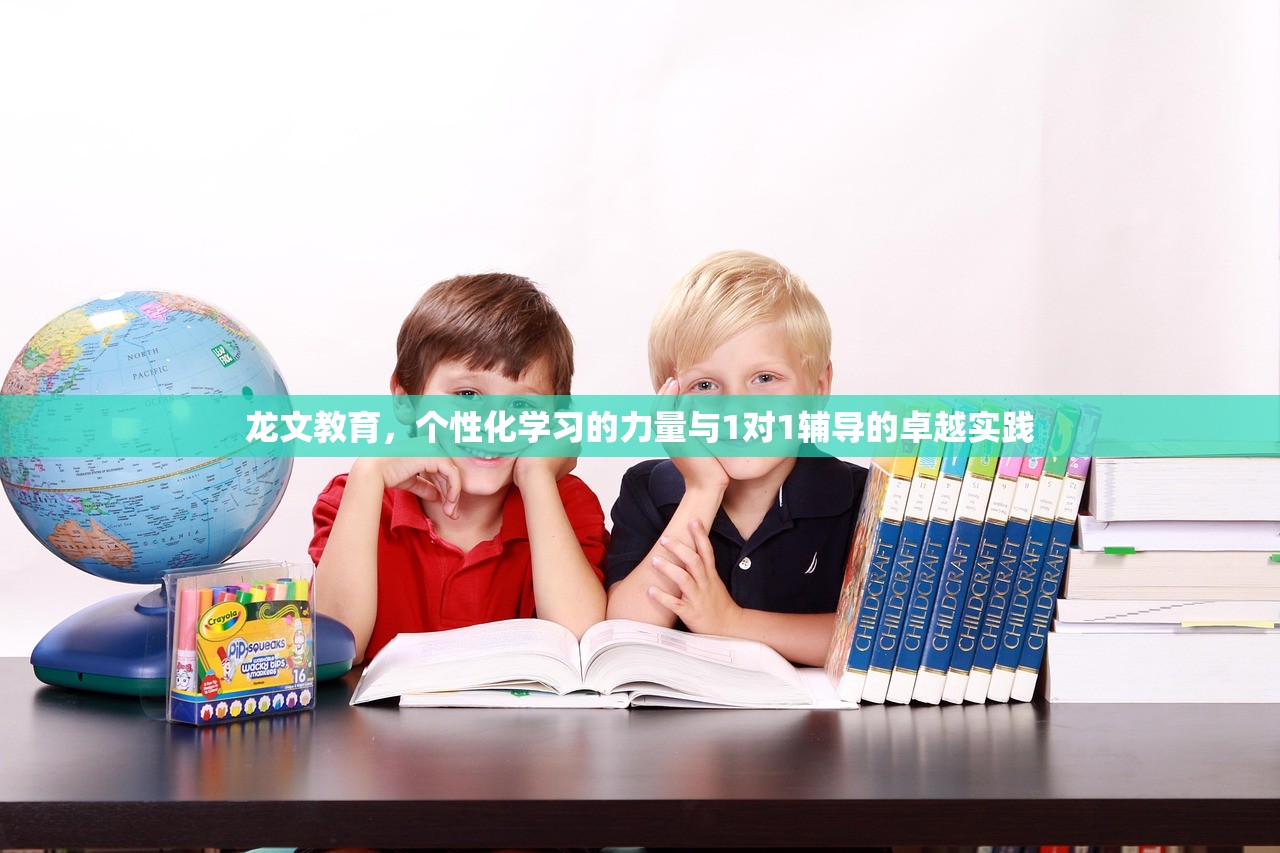 龙文教育，个性化学习的力量与1对1辅导的卓越实践-第1张图片-畅过网