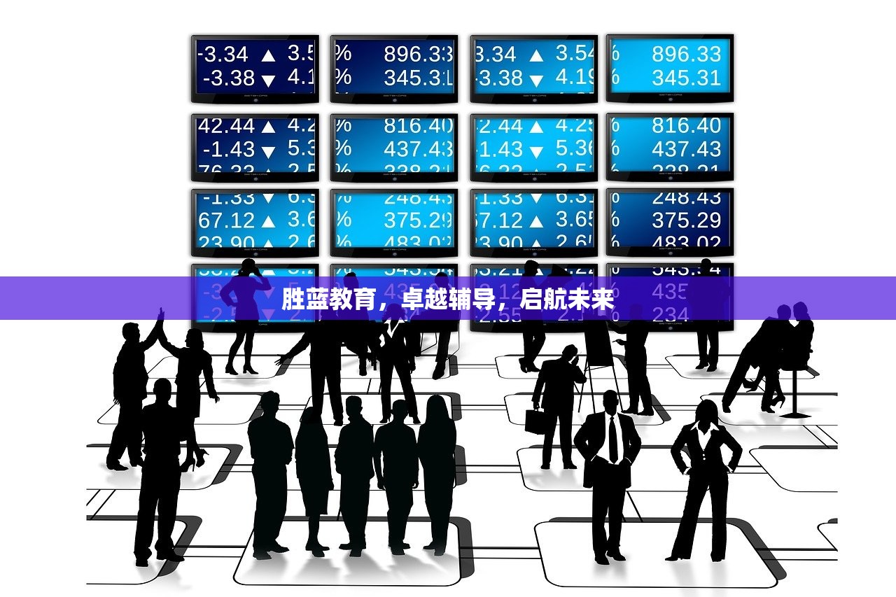 胜蓝教育，卓越辅导，启航未来-第1张图片-畅过网