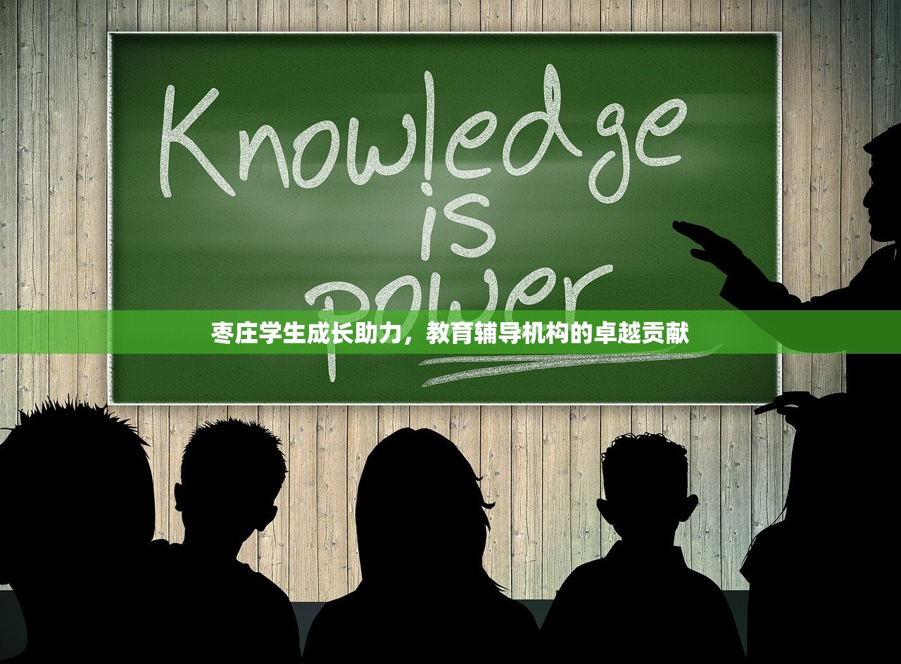 枣庄学生成长助力，教育辅导机构的卓越贡献-第1张图片-畅过网