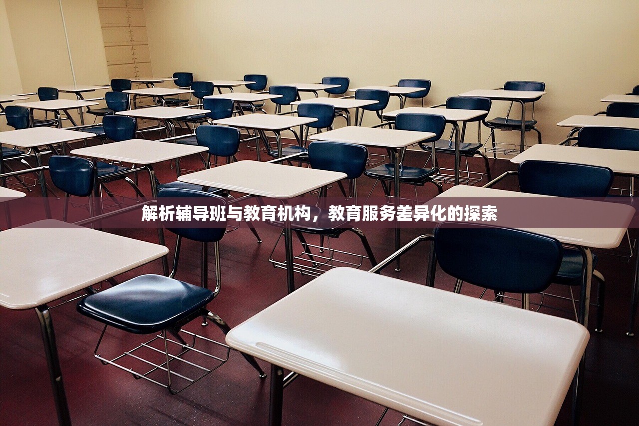 解析辅导班与教育机构，教育服务差异化的探索-第1张图片-畅过网