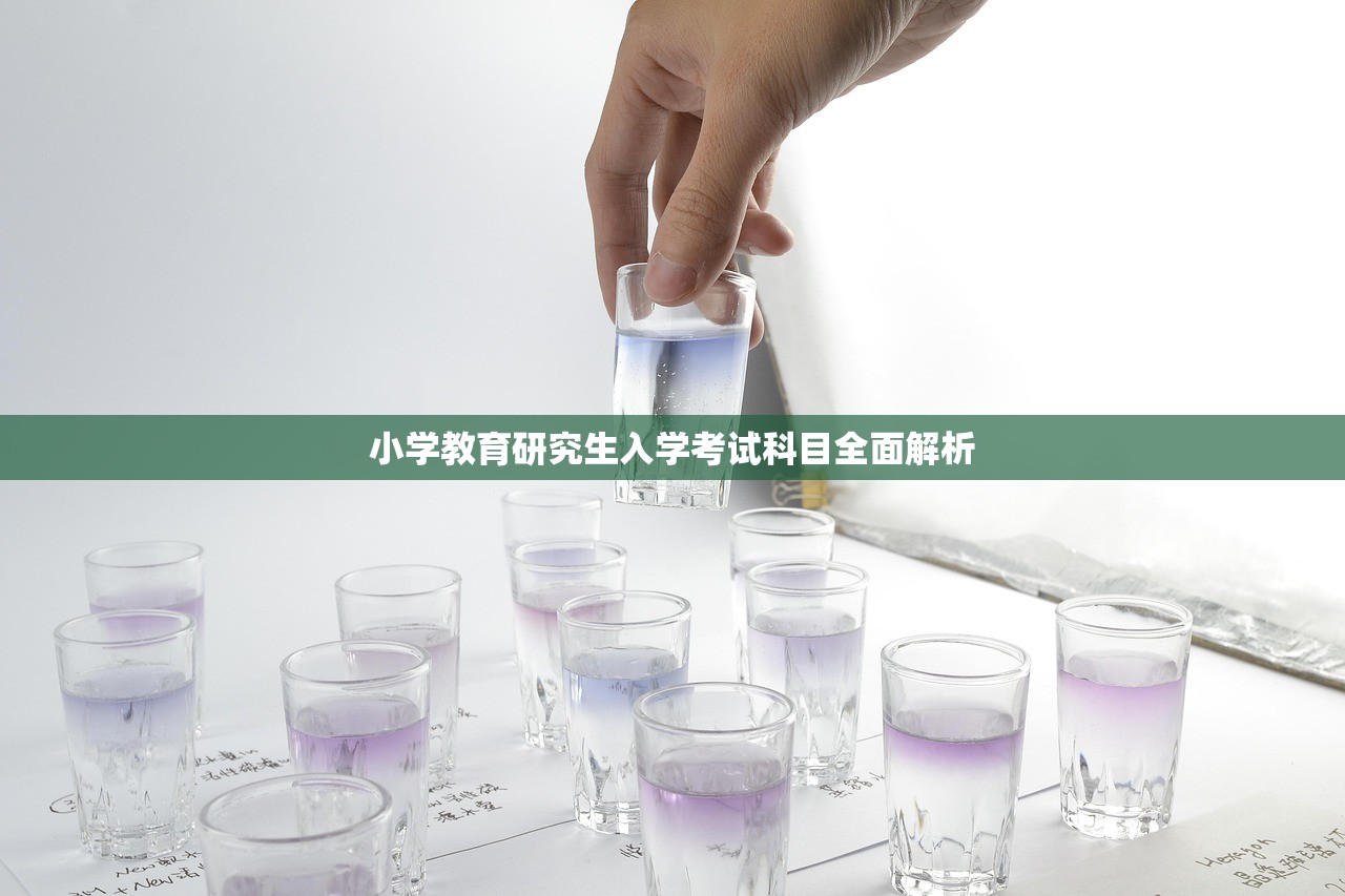 小学教育研究生入学考试科目全面解析-第1张图片-畅过网