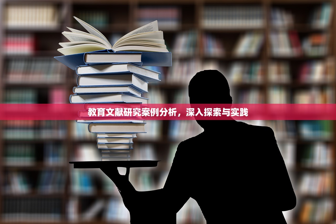 教育文献研究案例分析，深入探索与实践-第1张图片-畅过网