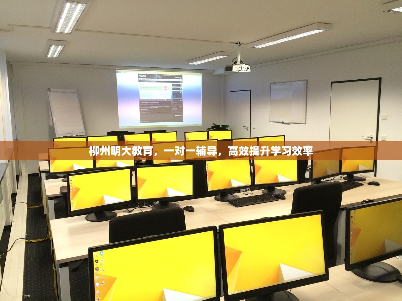 柳州明大教育，一对一辅导，高效提升学习效率-第1张图片-畅过网
