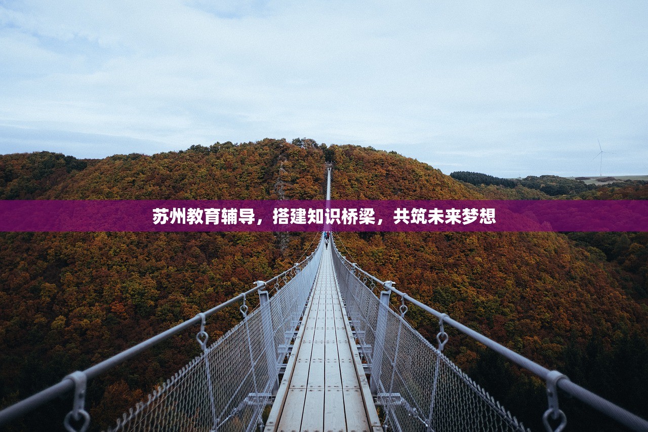 苏州教育辅导，搭建知识桥梁，共筑未来梦想-第1张图片-畅过网